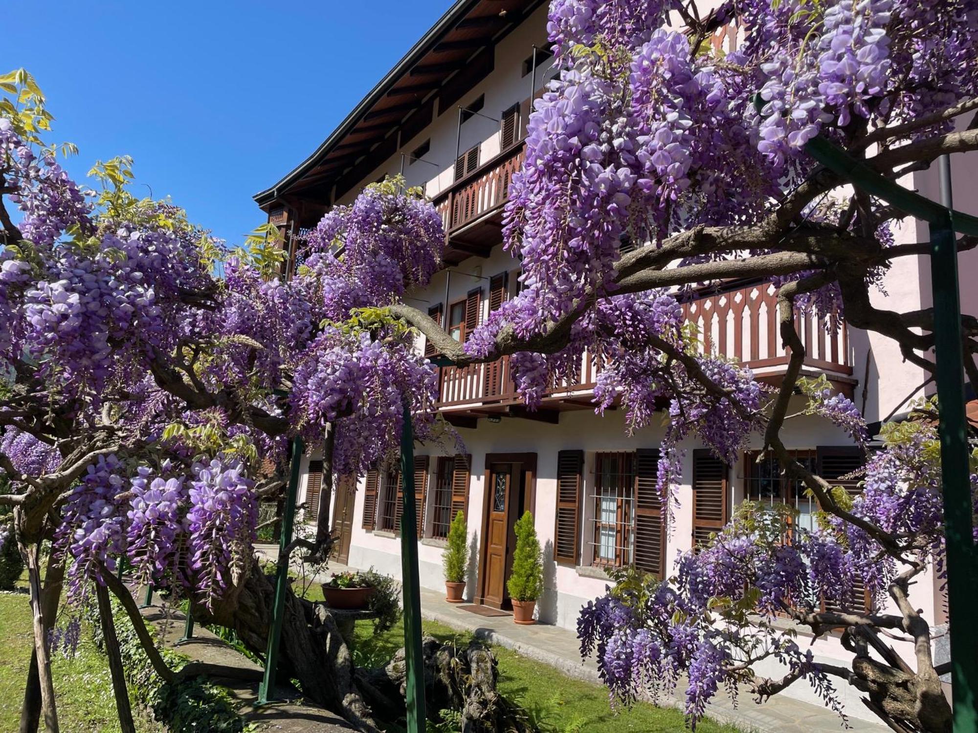 Dimora Fiorita Junior My Holiday Home Varallo Exteriér fotografie